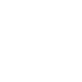 Budget icon