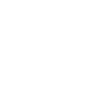 light icon